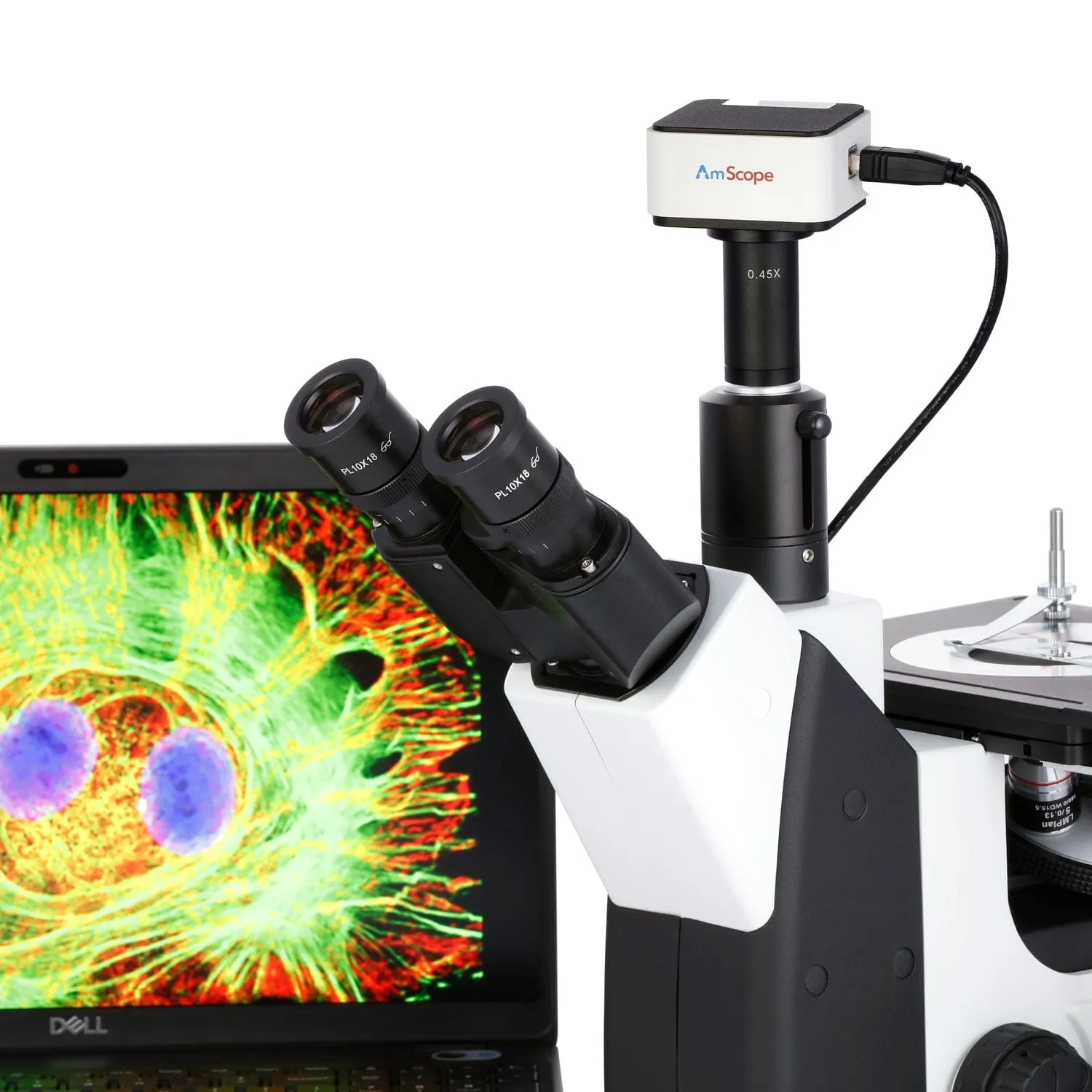AmScope ME1200 Series Inverted Metallurgical Trinocular Compound Microscope 50X-1000X Magnification with 5MP USB Camera