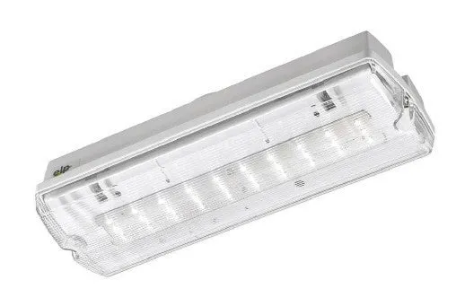 Axiom LED Maintained IP65 Emergency Bulkhead