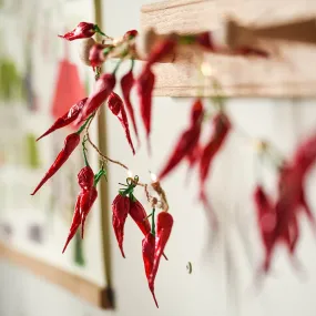 Chilli Pepper LED Fairy Lights - Battery