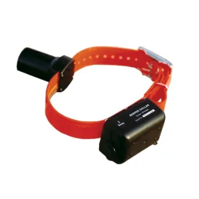 Dog Beeper Collar - D.T. Systems Baritone Beeper Collar
