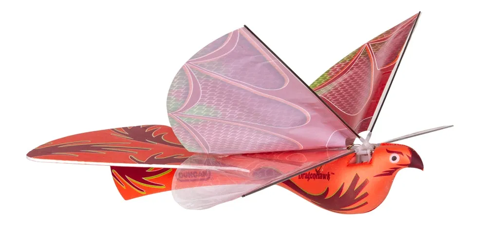 Dragon Hawk Glider w/ Power Assist