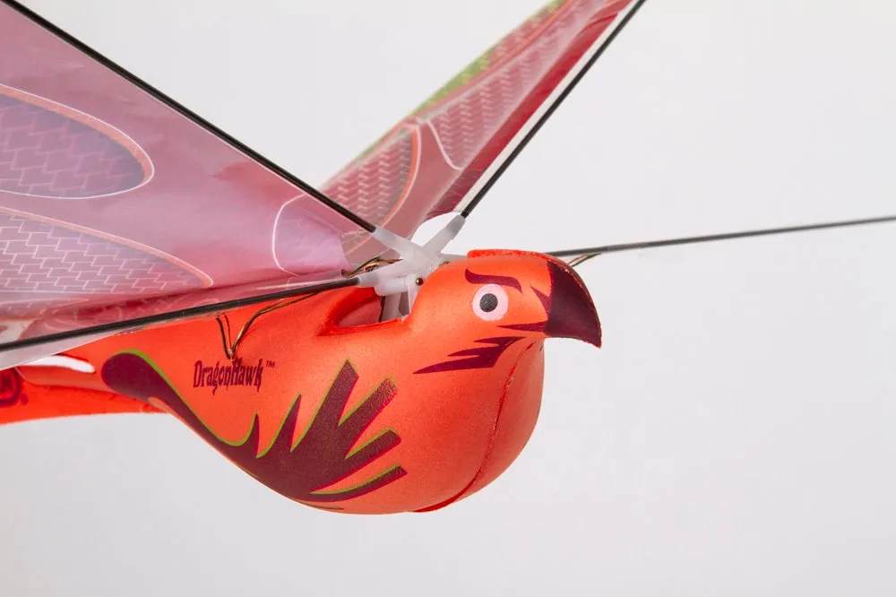 Dragon Hawk Glider w/ Power Assist
