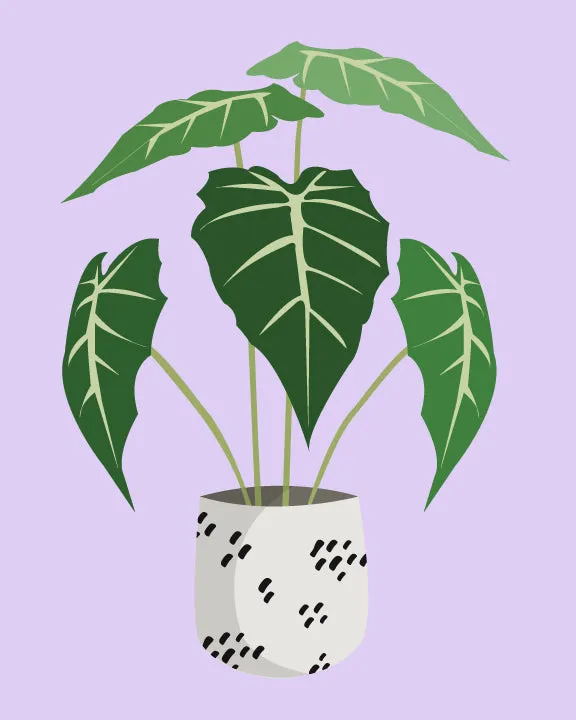 Just Leafy