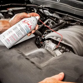 Sea Foam Additives Fuel System Cleaner SS14 12 Oz
