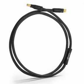 Shunyata Research Alpha USB