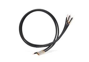 Shunyata Research Gamma Phono Cable - 1.0M