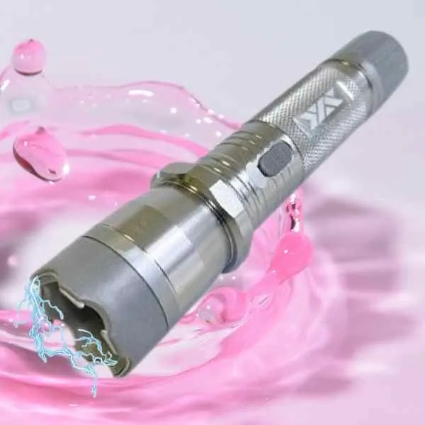 The Tag Team Tactical Stun Gun Flashlight Combo